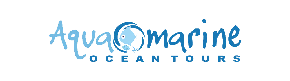 アクアマリンオーシャンツアーズ