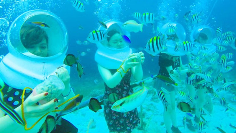 シーウォーカー